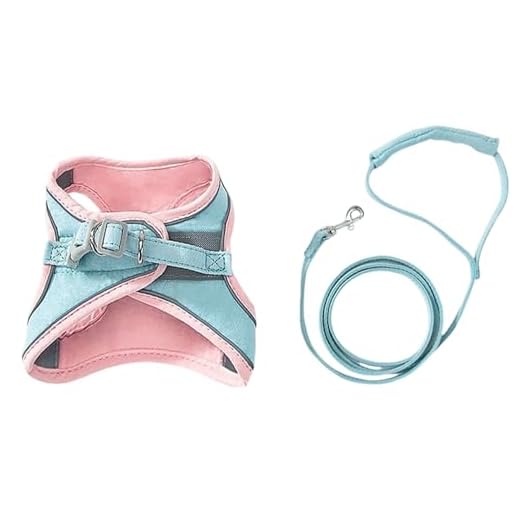 Juego de arnés y correas para gatos a prueba de escapes, arnés para gatos para caminar, arnés de chaleco para gatos, accesorios para caminar por la noche y el día