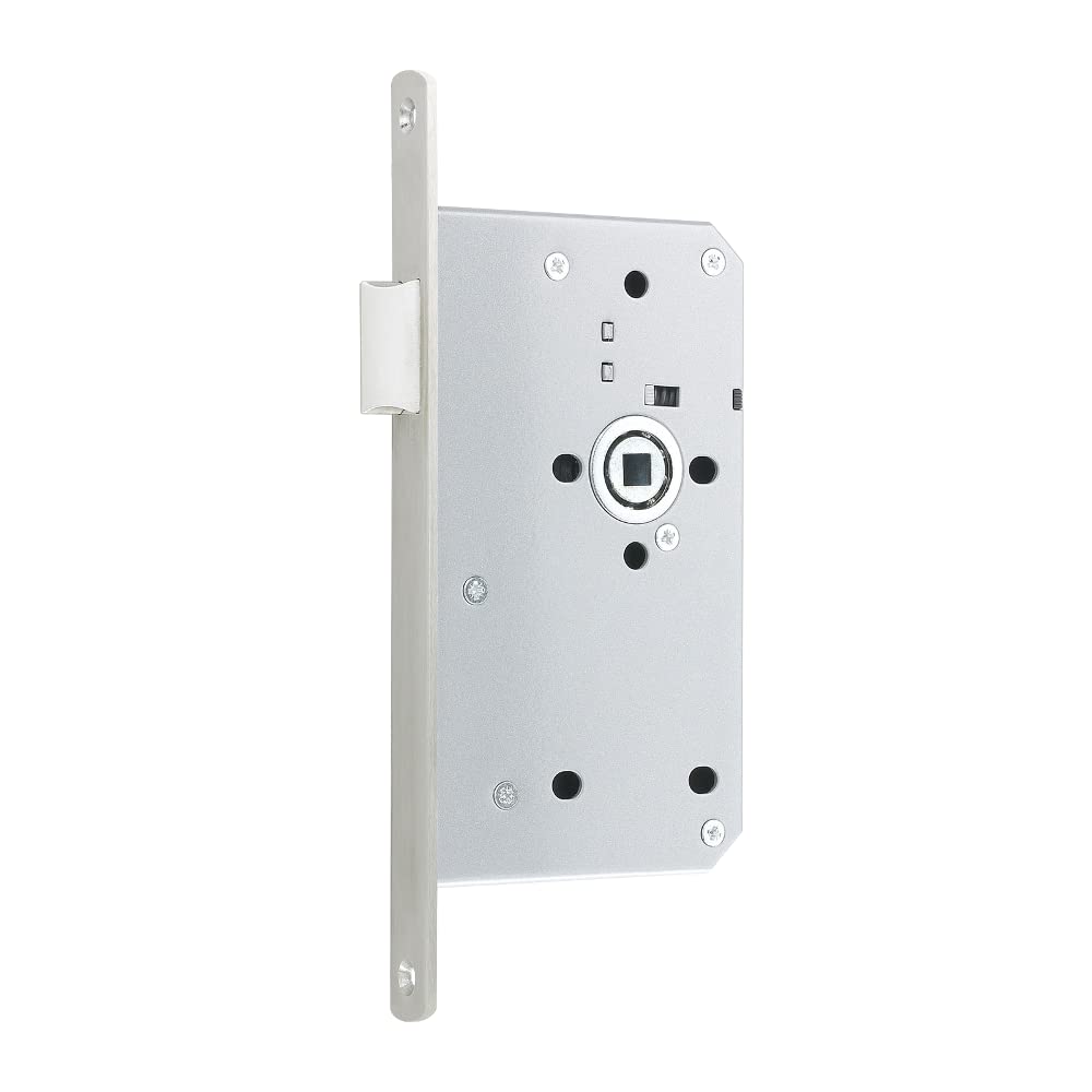 Asec Steel Din Mortice Latch