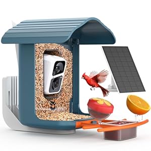 birdsnap® PAV – Smart Bird Feeder with Camera, 5 DIY Add-ons & 64G SD Card Auto Record Bird Video Bird House for Outside, AI Identify Bird Auto Capture with Solar Panel, Ideal Gift for Bird Lover