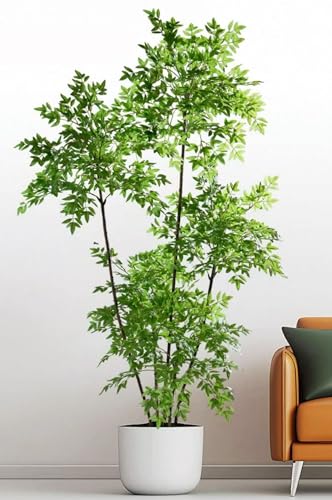 Uhetoice tFCNO[ ^ lHϗtA lH΂̃ie Mtg sv Q̐SzȂ Ύ ͂Ȃ A u₩ ϗtAtFCN tFCNO[ RŃA  z[ x_ p Xܑ (12.2[gi