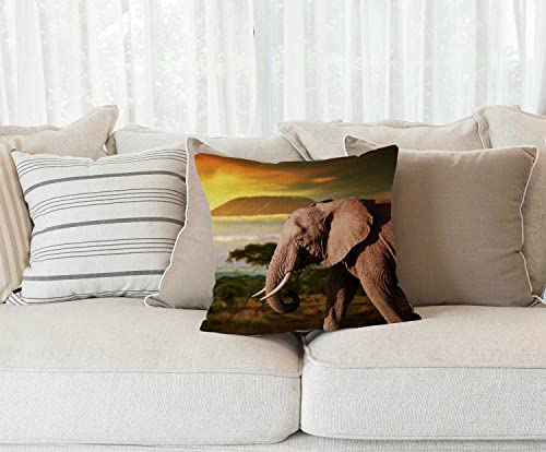 African Elephant On The Prairie Rustic Farmhouse Style Decorative Throw Pillow Cover Cushion Case For Sofa Couch Housewarming Gift Home Decor Cotton Linen 18" X 18" Inch #TOP1