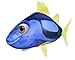 Air Swimmers Remote Control Flying Regal Tang