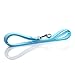 Nylon Dog Leash 4 Ft 5 Feet 6 Foot Long, Walking Training Dog Leashes for Medium Large Dogs, 1 Inch Wide(6ft,Blue)