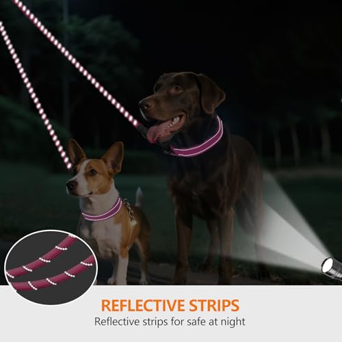 Taglory Doppelte Leinen/Hundeleine Doppelleine für 2 Hunde/Keine Verwicklung Reflektierend Kletterseil/Verstellbar Splitterleinen/75cm, ROSA
