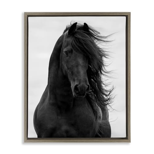 'Black Stallion Horse Portrait'| Floating Frame Canvas Art