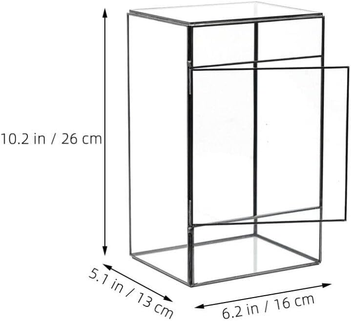 BESPORTBLE Rectangle Glass Terrarium with Door, Succulent Air Planter Clear Glass Container DIY Flower Plant Terrarium Plants Holder Micro Landscape for Tabletop Vase Decoration