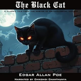 The Black Cat cover art