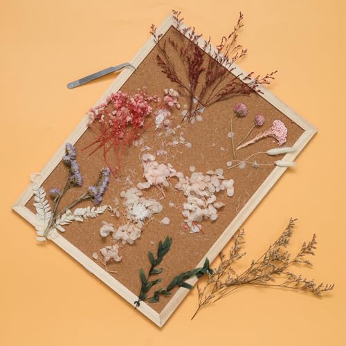 1 Pack Flores Secas Naturales Mixtas para Manualidades miniatura 3
