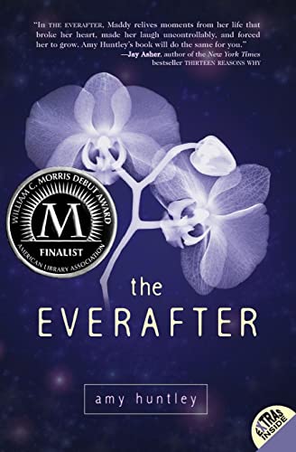 The Everafter: A Haunting Young Adult Novel About Life, Death, and Love Beyond