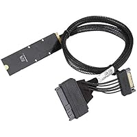 Diyeeni NVME U.2 Cable Adaptador de SSD PCIe a M.2, Convertidor