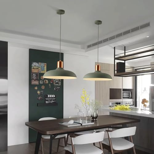Lampe suspendue à tête unique E27 et lustre de plafond encastré en fer