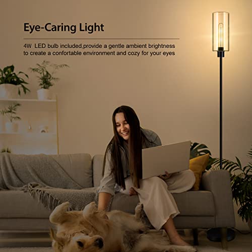 Boostarea Floor Lamp For Living Room, Modern Standing Lamp Stand Up Lamp With Glass Lampshade, 4W Bulb Included, Pole Lamp Tall Lamps For Bedroom, Living Room, Office, Kids Room, Reading #TOP6