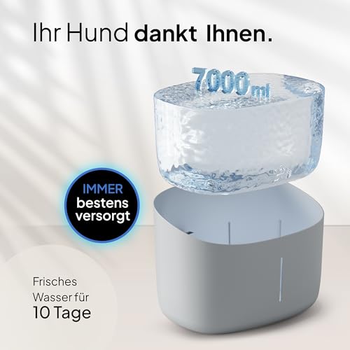 Pretty PAW® Trinkbrunnen für Hunde I Super leiser Hunde Trinkbrunnen mit 7 Liter Wassertank I BPA-freier Hundebrunnen mit Filter & LED I Leicht zu reinigender Dog Wasserspender