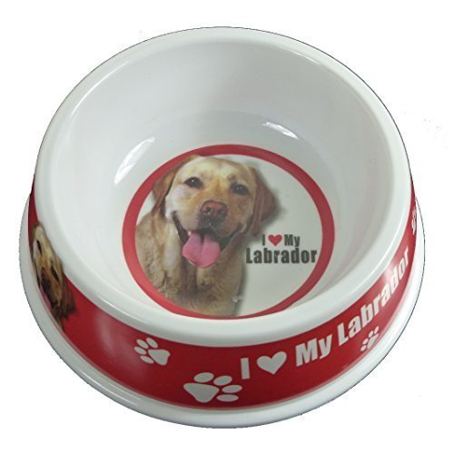 LABRADOR YELLOW PET BOWL