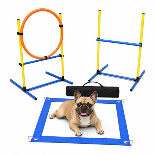 Puppy Agility Training Equipment Starter Kit