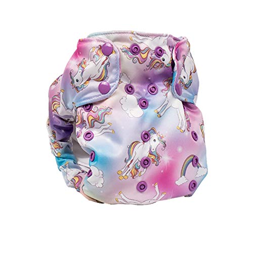 Cloth Diaper – Smart Bottoms Smart One 3.1 – All-in-One – 100% Organic Cotton Interior – 10-35lbs … (Chasing Rainbows)