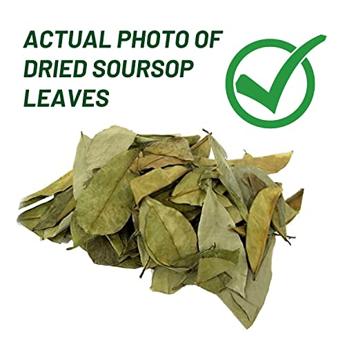 Soursop Leaves, Graviola Soursop Dried, 100% Natural and Handpicked Freshly Dried Soursop