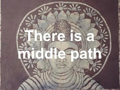 There is a middle path