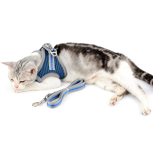 Zunea Conjunto de coleira e coleira para cães pequenos, sem puxão, refletivo, para filhotes, gatos,