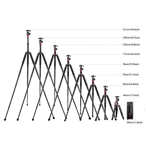 FEANG 59-Zoll-Stativ for Kamera, leichtes Aluminium-Stativmonopod mit 360 Grad Kugelkopf und Tragetasche for Reisen und… – Bild 3