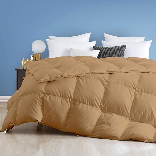 Image of Day Care - 600 GSM Hotel Quality-Down Alternative Microfiber Comforter for Heavy Winter Queen Size Comforter /Blanket /Rajai (90 inch x 90 inch Inches /228cm x 228cm) - Comforter Queen Size|Beige