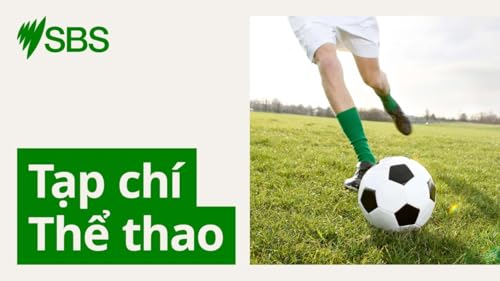 Tạp chí Thể thao: Socceroos sẽ cần "thuốc thử liều cao” tại giải tiền World Cup 2026