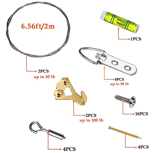 Image of SDTC Tech Adjustable Picture Hanging Wire Kit 2m x 1.5mm Stainless Steel Wire Rope, D-Rings, Wall Mounting Hooks, Adjustable Hangers, Level & Screws for Paintings Photos Mirror Frames Hold Up to 80lbs