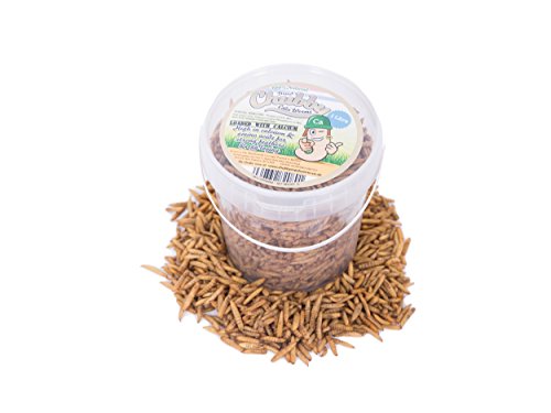 Chubby Mealworms Dried Calci Worms, 1 Litre