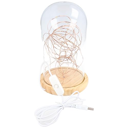 goobay 60340 Cloche en verre avec micro-chaîne lumineuse LED/lampe décorative/lumière chaude et apaisante/éclairage festif pour la décoration...