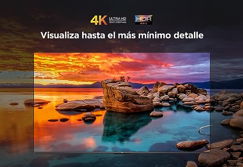 Foto TCL V6C 4
