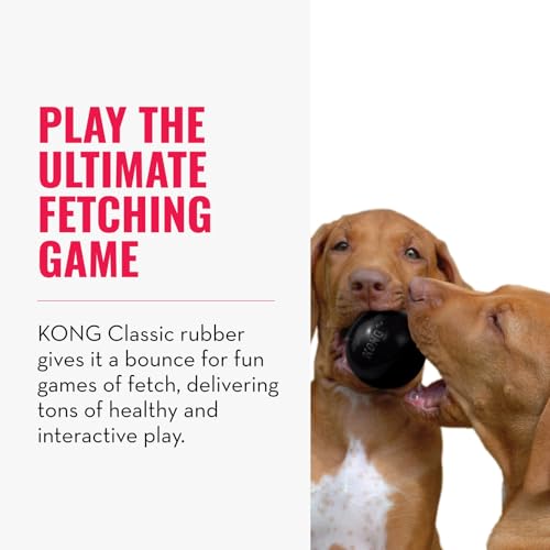 KONG Extreme Ball with Hole - Fetch Toy - Durable Dog Toy for Training, Interactive Playtime & More - Natural Extreme Rubber Ball - Black - for Large/Medium Dogs
