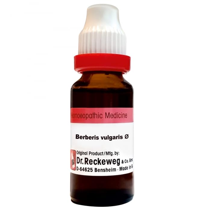 See full amazon price history chart for Dr. Reckeweg Berberis Vul Mother Tincture Q Dr. Reckeweg Berberis Vul Mother Tincture Q (B0CN2ZJ5RW) Amazon Price History, Amazon Price Tracker