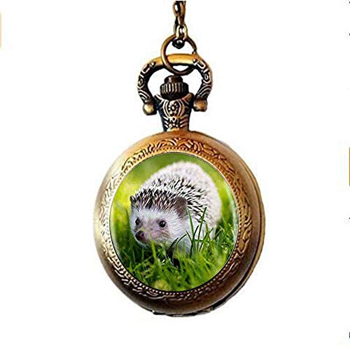 Preisvergleich Produktbild Igel-Taschenuhr mit Halskette, einzigartiger Schmuck, Kunst, Bild-Schmuck
