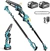 SEESII 2-in-1 Elagueuse sur Perche, Mini Tronçonneuse Brushless 6 Pouces avec 2 x 4000 mAh Batteries, Coupe Branche Telescopique, Portée 4,87 M, Idéal Extérieur & Jardinage