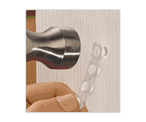 FASTENMASTER Cortex Plugs 40 per Box
