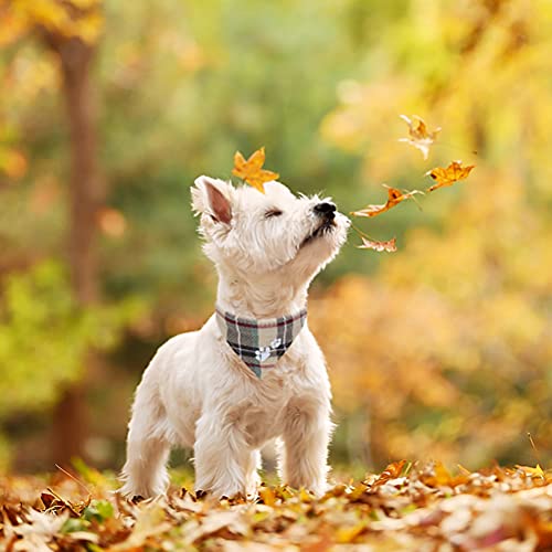 EXPAWLORER Puppy Collar and Leash Set - Embroidered Pawprints Plaid With Bow Tie, Bandana, and Bell for Dogs Cats Outdoor Walking, Beige XS by EXPAWLORER - Image 5