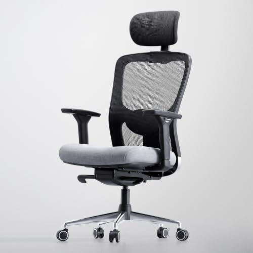 Image of Make My Chairs Jazen Peak | Ergonomic Mesh Office Chair for Work | 5 Year Warranty |Auto Weight-Balacing with Multi Lock Recline Mechanism | 4D Armrest | Seat Slider | High Back
