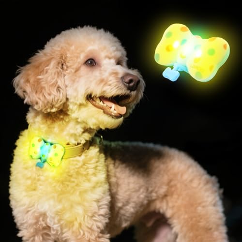 LaRoo ��ԎU���p���p��փ��C�g�AUSB-C�[�d���h�b�O���C�g�A���^���p�킸��12g�A3���[�h�J���[���C�g�A��Ԃ̃����j���O�p�h��LED�J���[�`���[���A�y�b�g�L�����v�̕K���i(���b�h)