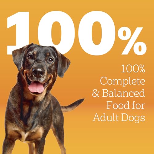 Image of Pedigree High Protein Adult Dry Dog Food, Beef and Lamb, 40 lb