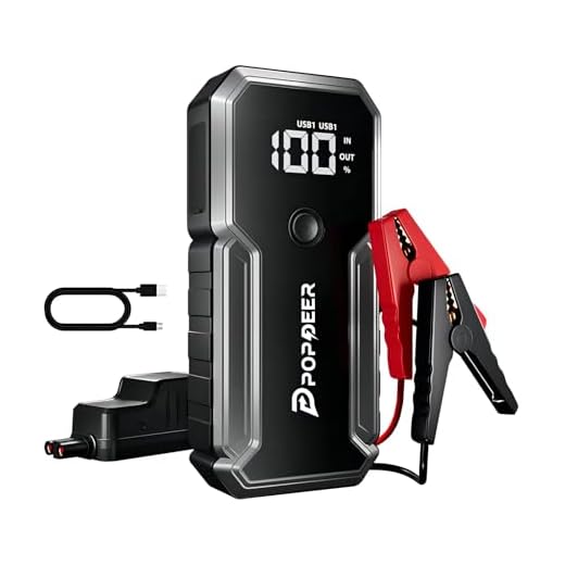 POPDEER Jump Starter, 2500A Battery Jumper Starter Portable (8L Gas/ 6L Diesel), 12V Car Battery Charger, Jump Box with LED Light & 2 USB