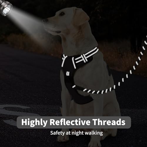NESTROAD-Reflective-Dog-Leash-for-Small-Medium-Large-Dogs