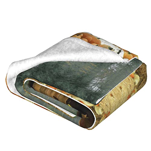Couverture de lit douce imprimée double couche de qualité supérieure - 4
