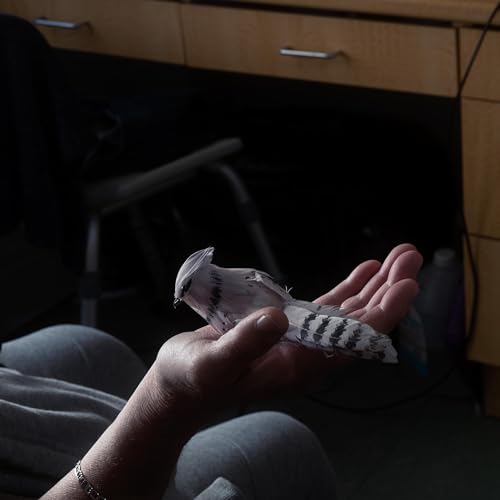 L&rsquo;&eacute;trange moment