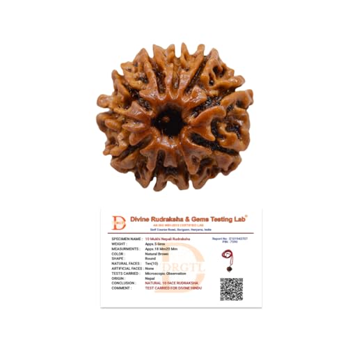 Image of Divine Hindu Original 10 Mukhi (Ten Face) Indonesia Rudraksha | Dus Mukhi Rudraksh Bead for Meditation, Protection & Spiritual Growth | Natural Rudraksha for Men & Women | Prayer Bead for Success