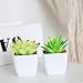 Veryhome Fake Suculentas Plantas Artificiales En Macetas En Mini Macetas Cuadradas Blancas...