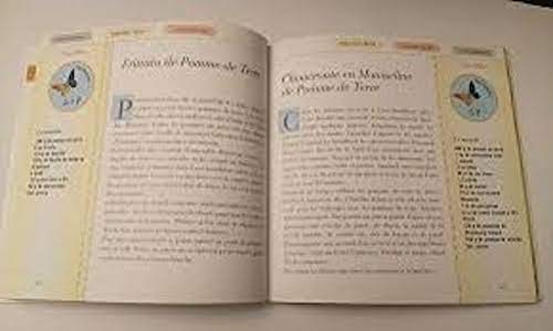 gros plan sur les pommes de terre