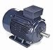 25 hp 18.5 kw 1200 RPM 200L Frame 230/460V Marathon Electric Metric Motor # R341B