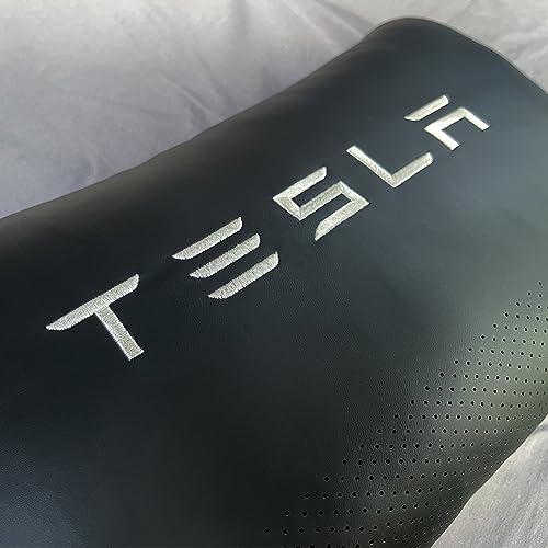 TESBEAUTY Tesla - Cuscino lombare di supporto, 1