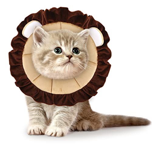 Find The Best cones for cats Picks And Buying Guide licorize