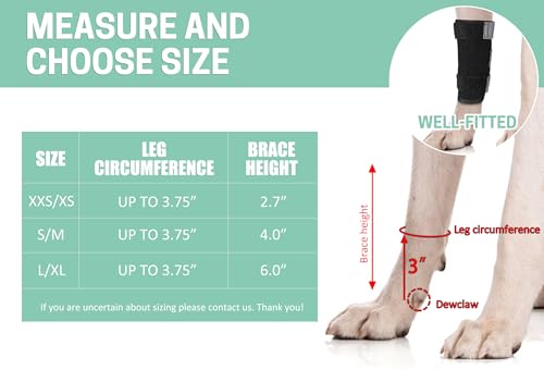 Lyderpet Dog Front Leg Brace Ankle Support for Forelilmb, Canine Dog Wrist Brace Splint, Protects Foreleg Carpus Joint Wounds Heals, Helps with Loss of Stability Caused by Arthritis